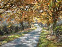 Landscapes - Sold (125)